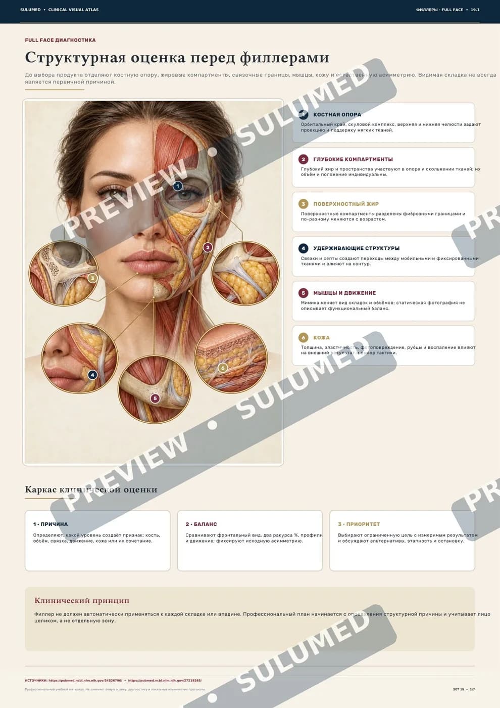 Блок «Филлеры: Full Face» клинического визуального атласа, первая страница: печатный лист A3 с заголовком, схемой и подписями. На превью нанесена марка SULUMED PREVIEW.