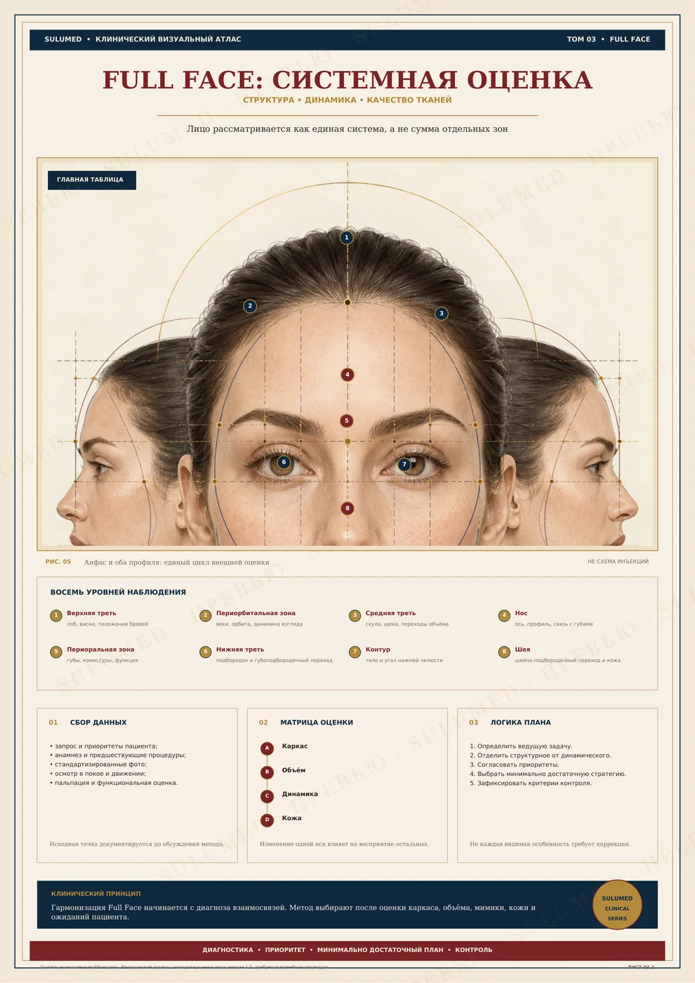 Печатный лист «Full Face: системная оценка» из клинического визуального атласа SuluMed